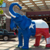 5 Communication Perspectives from the RNC
